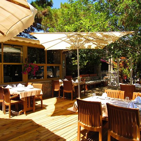 Assos Hunters Hotel (Adults Only) Ngoại thất bức ảnh